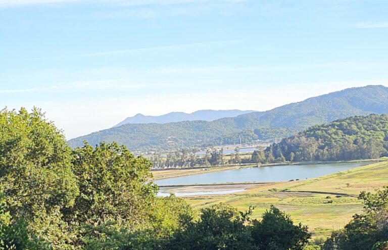 MT Tam Sleeping Maiden from Novato Hills